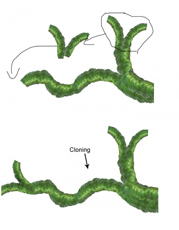 Creation of Life Fruit: Step 4